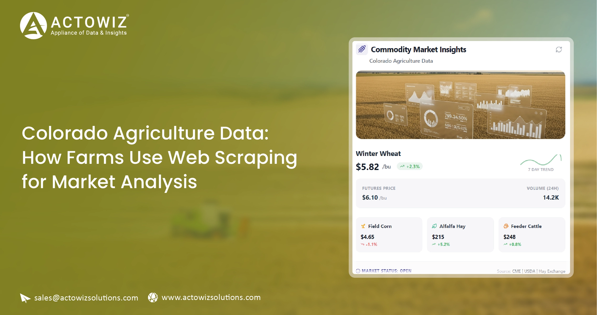 Weekly E-commerce Price Comparison in Amazon India - Trends & Insights-01